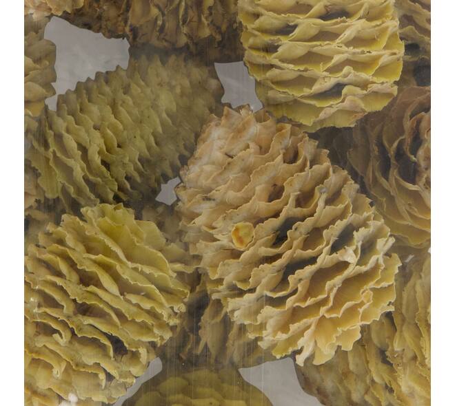 Sabulosum heads loose 250gr 28x12x3cm - Cream