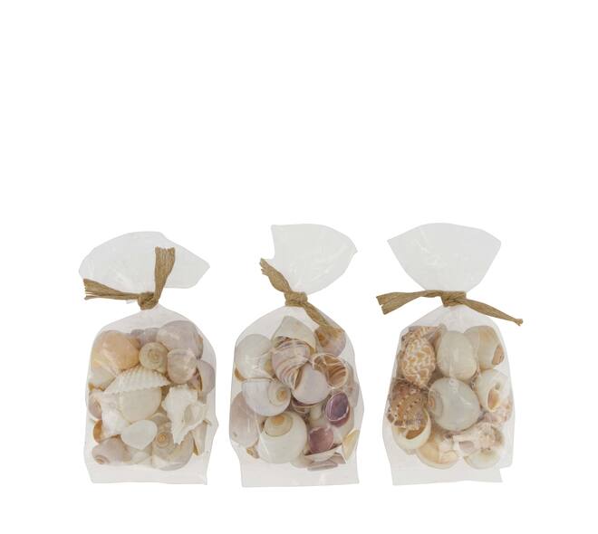 Shell mix nature 10x5x13cm  - Natural