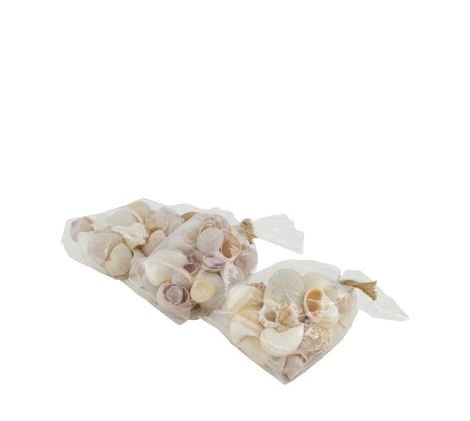 Shell mix nature 10x5x13cm  - Natural
