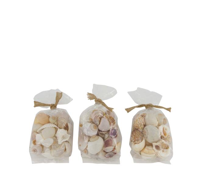 Shell mix nature 10x5x13cm  - Natural