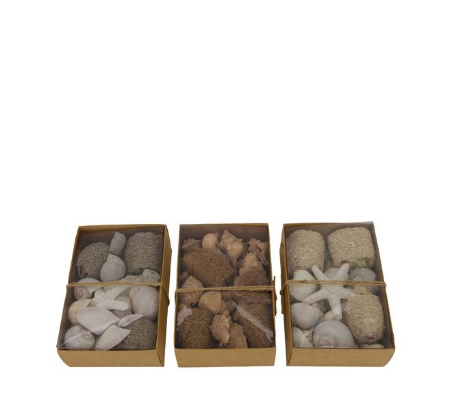 Shell mix nature 18x12x6cm A3 - Natural