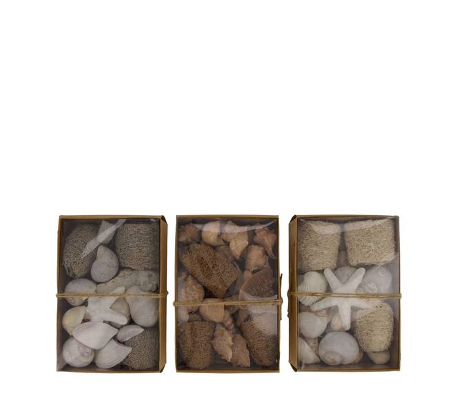 Shell mix nature 18x12x6cm A3 - Natural