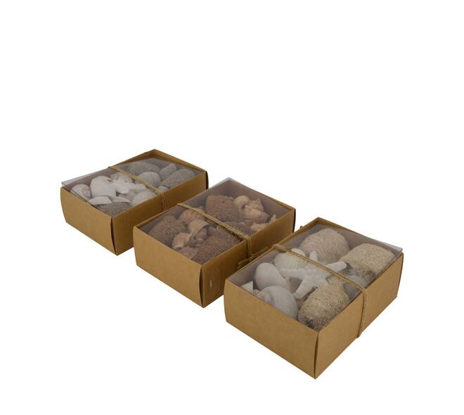 Shell mix nature 18x12x6cm A3 - Natural