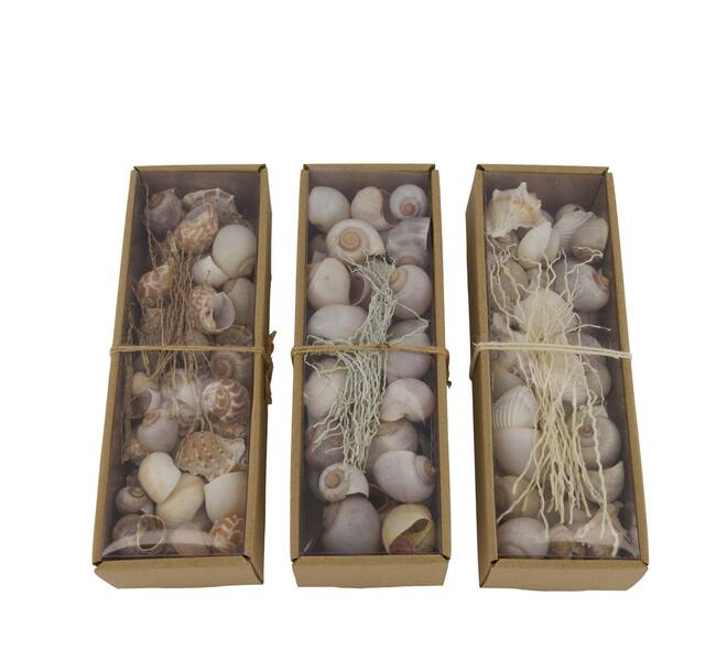 Shell mix nature 27x9x6cm  - Natural
