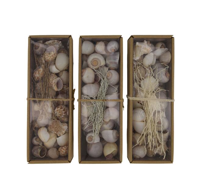 Shell mix nature 27x9x6cm  - Natural