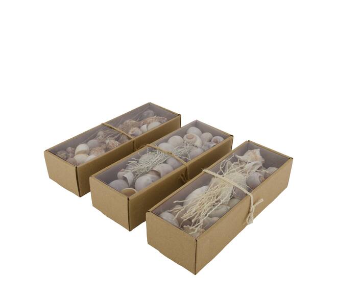 Shell mix nature 27x9x6cm  - Natural