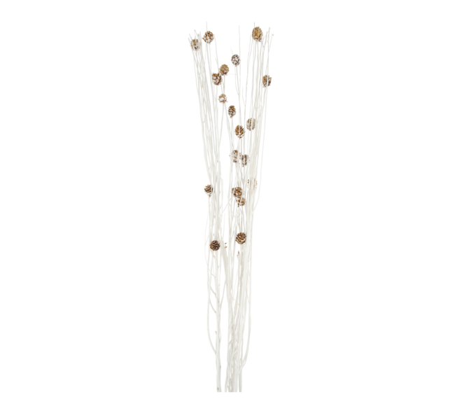 Branch mix nature 17x5x100cm A/4