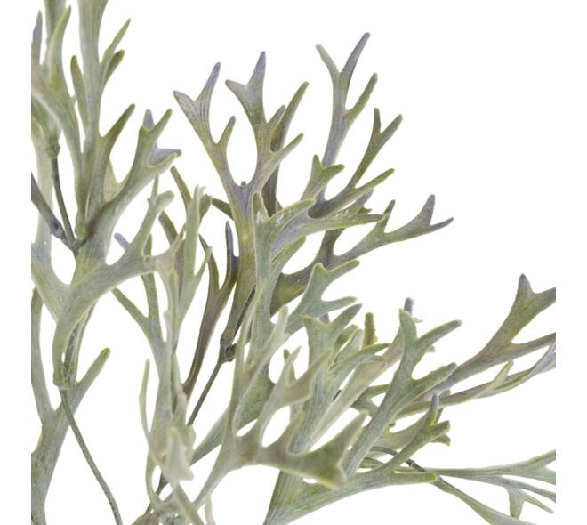 Branch platycerium artificial 38x20x10cm - Green