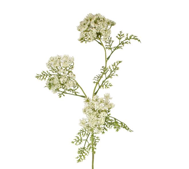 Branch dill artificial 75x20x12cm - White