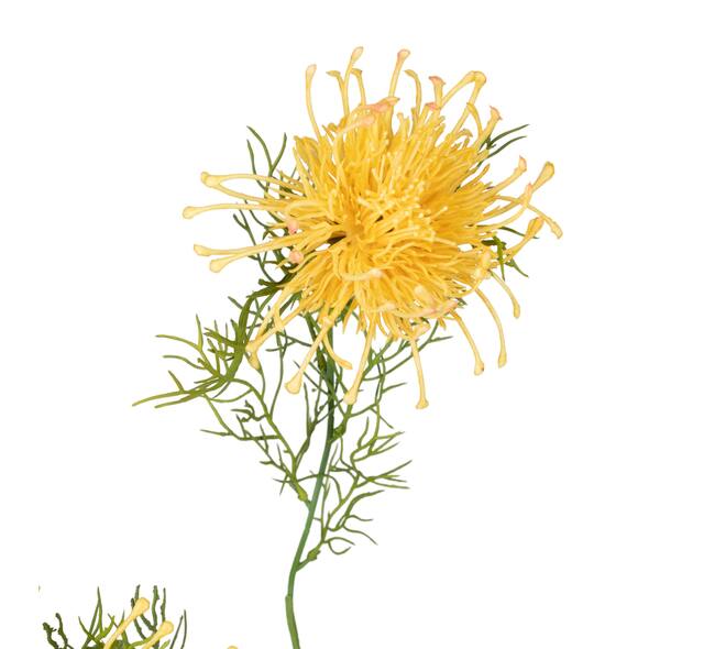 Branch chrysanthemum artificial 68x20x8cm - Orange