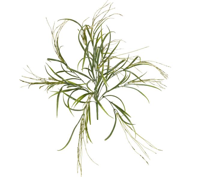 Branch barley grass artificial 60x30x10cm - Green