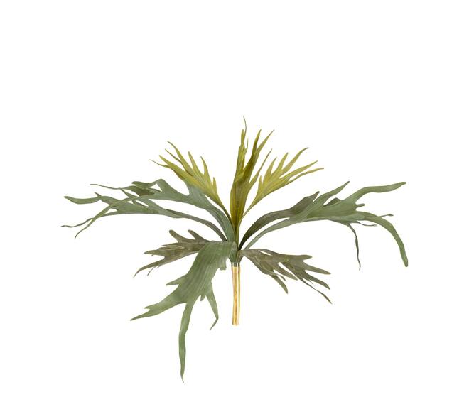 Branch platycerium artificial 50x30x10cm - Green