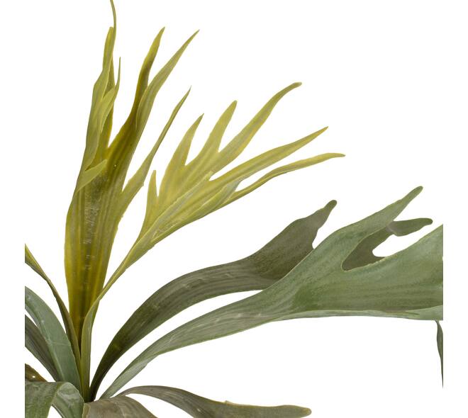 Branch platycerium artificial 50x30x10cm - Green