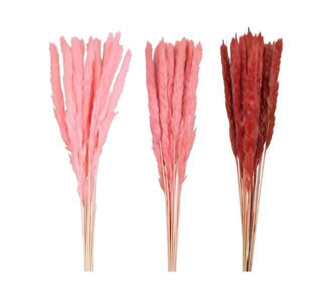 Pampas grass 70x11x4cm C3 - Pink