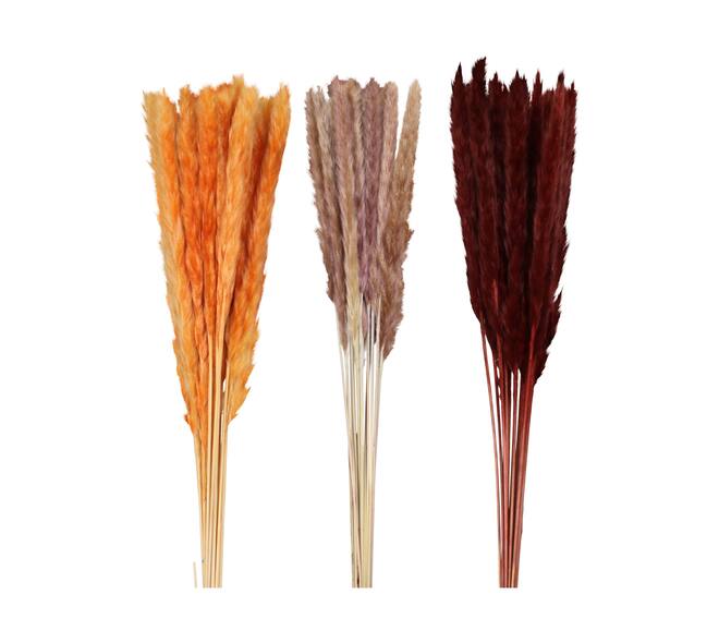 Pampas grass 70x11x4cm C3 - Orange