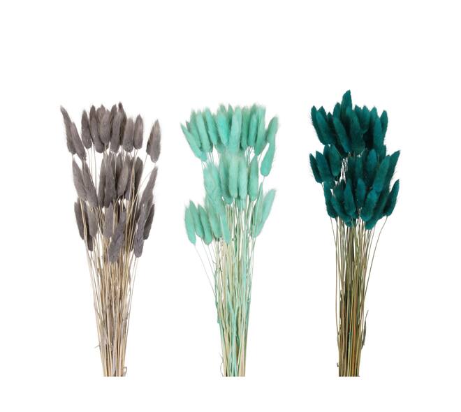 Lagurus nature 60x10x5cm 60pc C3 - Blue