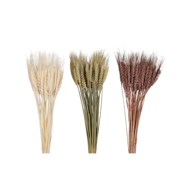 Wheat grass 60x12x6cm 50pc C3 - Natural