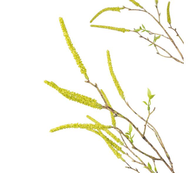 Branch plants spray artificial 108x30x6cm