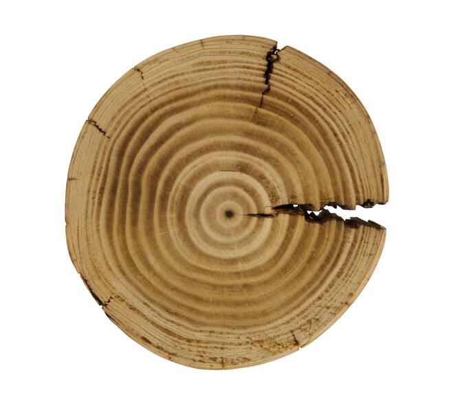 Tray round reclaimed wood on feet 18x18x14cm