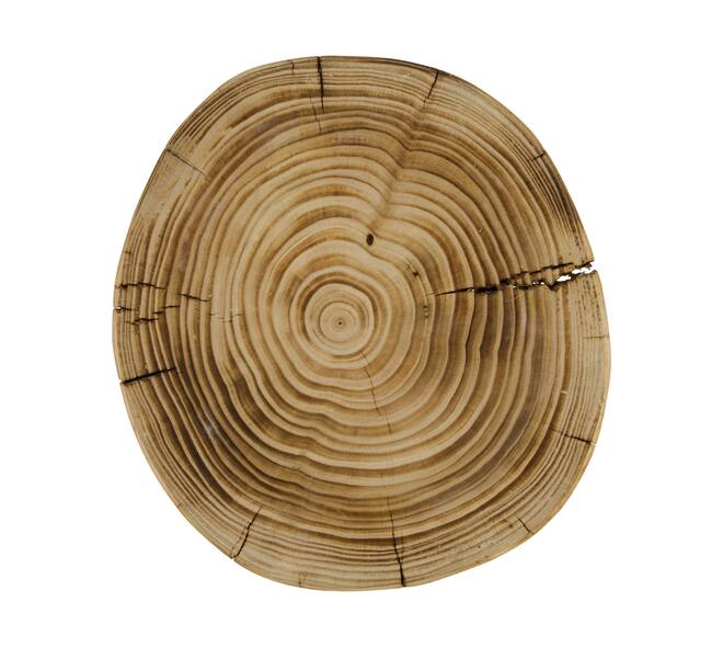 Tray round reclaimed wood on feet 25x25x20cm - Natural