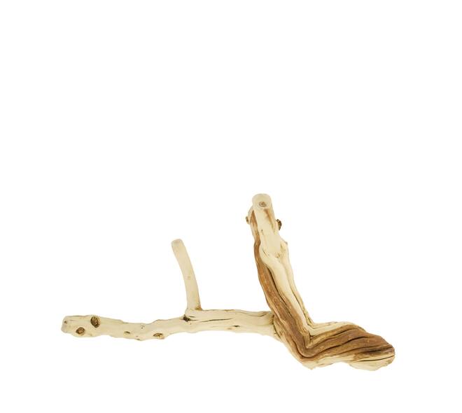 Branch honeysuckle wood 30x17.5x30cm