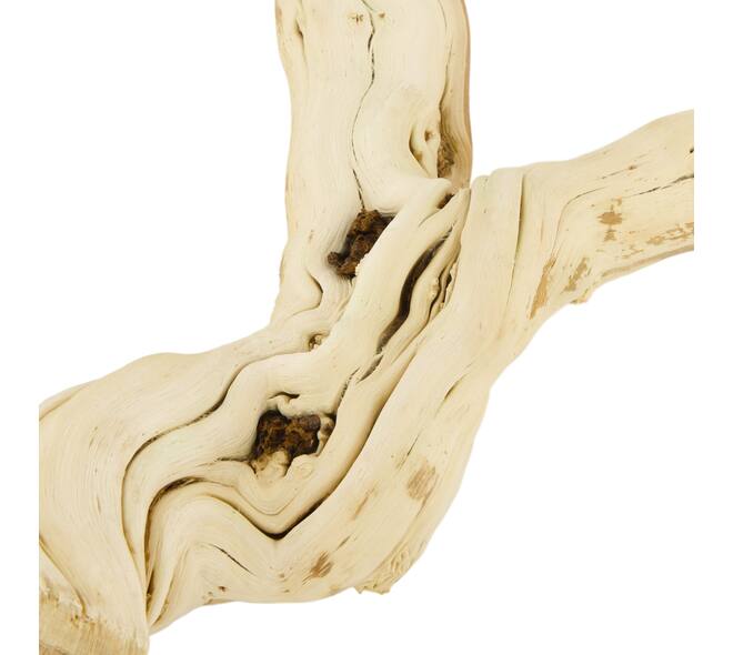 Branch honeysuckle wood 30x17.5x30cm