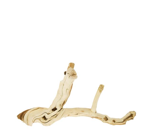 Branch honeysuckle wood 30x17.5x30cm