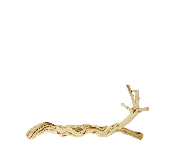 Branch honeysuckle wood 40x15x90cm - Natural