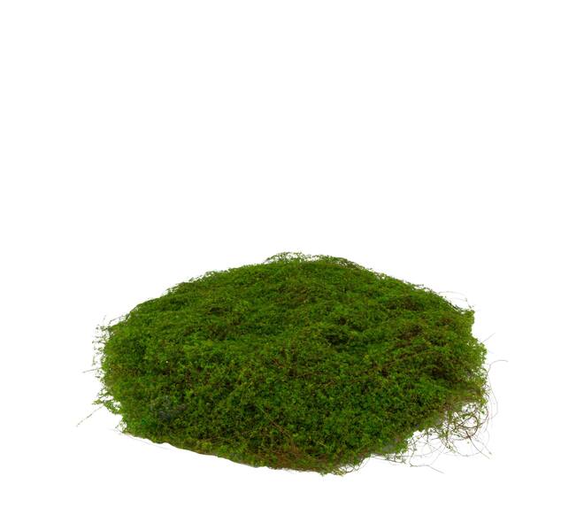 Moss sheet PU 45x45x4cm - Green