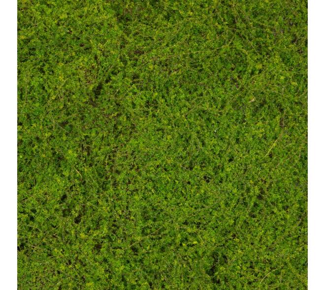 Moss sheet PU 200x100x4cm - Green