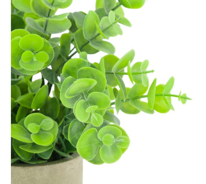 Plant in pot eucalyptus PE 8x8x23cm