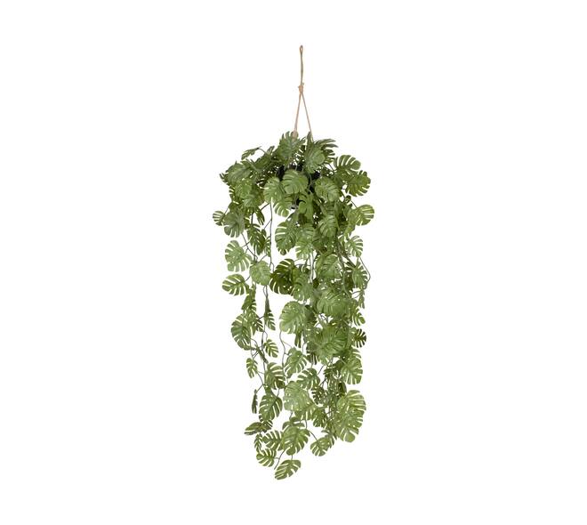 Plant monstera PE with hanger 18x18x80cm - Green