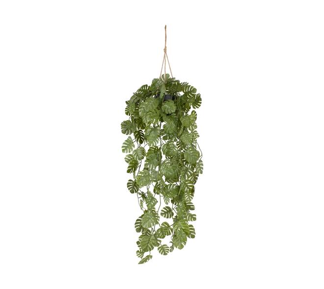 Plant monstera PE with hanger 18x18x80cm - Green