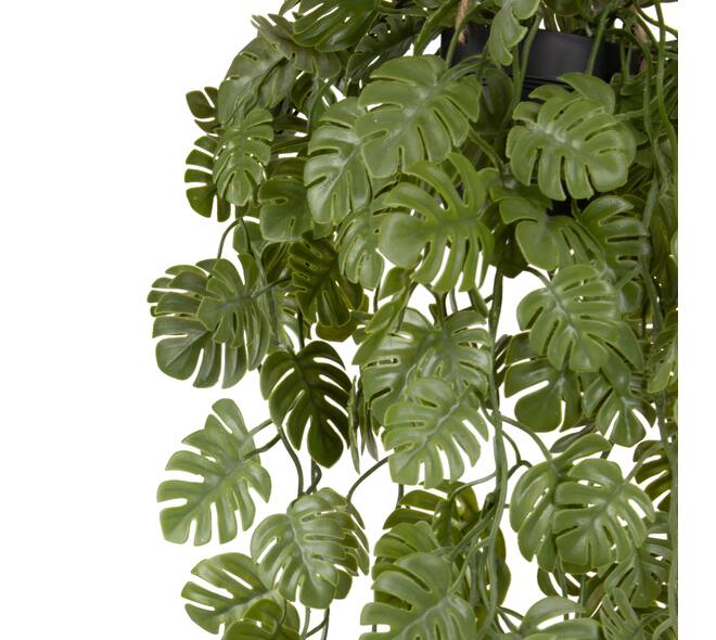 Plant monstera PE with hanger 18x18x80cm - Green