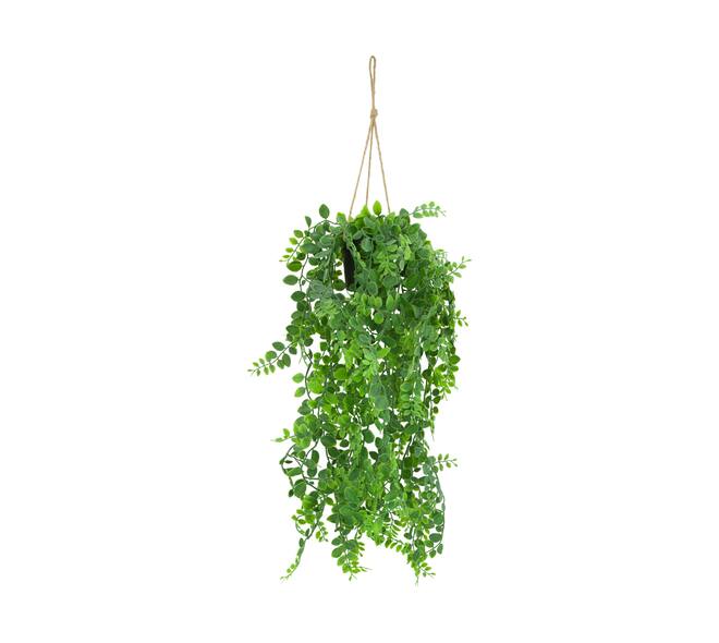 Plant dischidia PE with hanger 18x18x80cm - Green