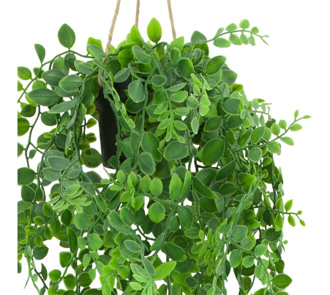 Plant dischidia PE with hanger 18x18x80cm - Green