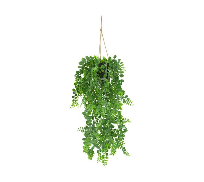 Plant dischidia PE with hanger 18x18x80cm - Green