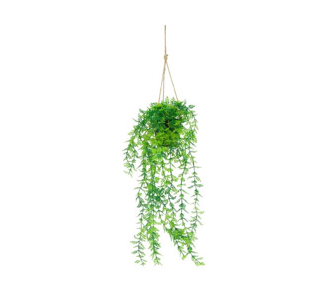 Plant dracaena PE with hanger 15x15x70cm - Green