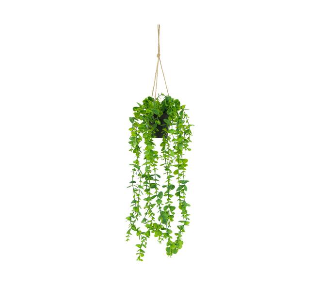 Plant eucalyptus PE with hanger 15x15x70cm - Green