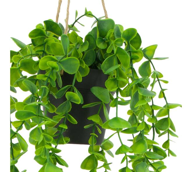 Plant eucalyptus PE with hanger 15x15x70cm - Green