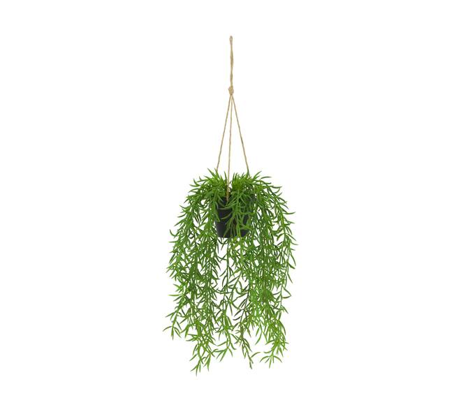 Plant senecio PE with hanger 15x15x60cm