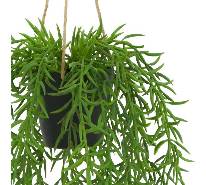 Plant senecio PE with hanger 15x15x60cm