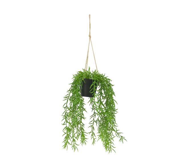 Plant senecio PE with hanger 15x15x60cm