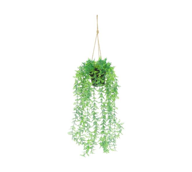 Plant adiantum PE with hanger 16x16x72cm