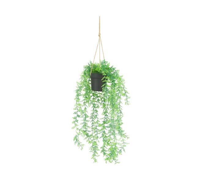 Plant adiantum PE with hanger 16x16x72cm