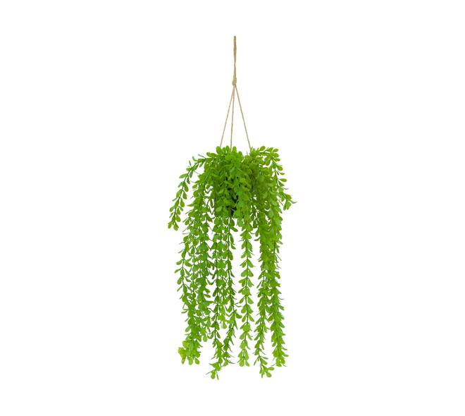Plant dischidia PE with hanger 16x16x65cm
