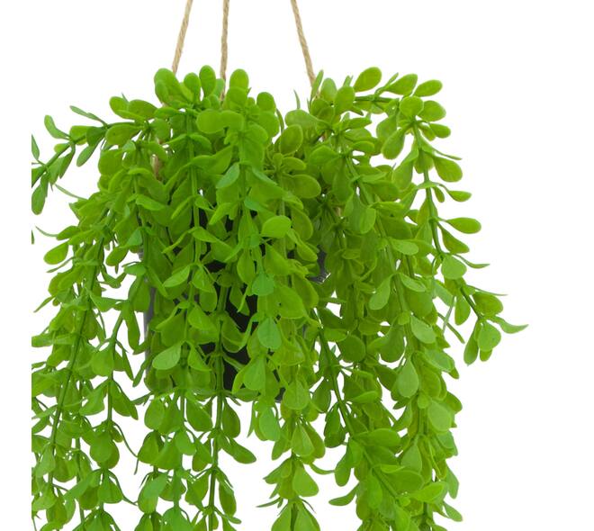 Plant dischidia PE with hanger 16x16x65cm