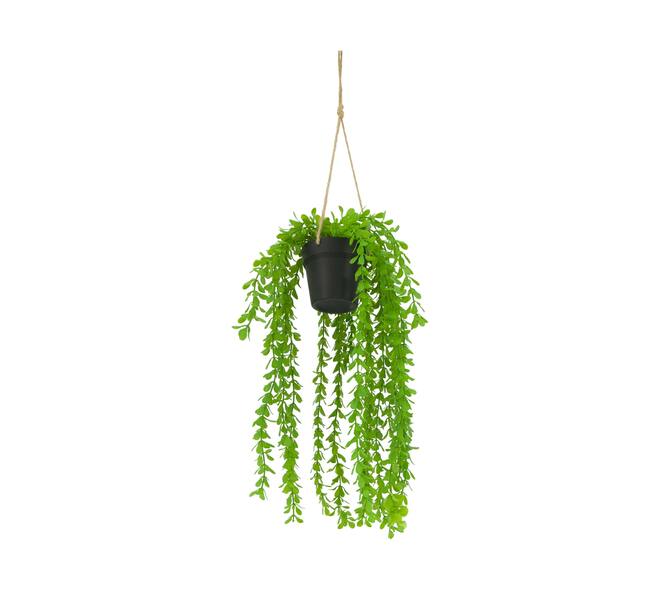 Plant dischidia PE with hanger 16x16x65cm