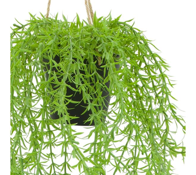 Plant willow PE with hanger 16x16x75cm - Green
