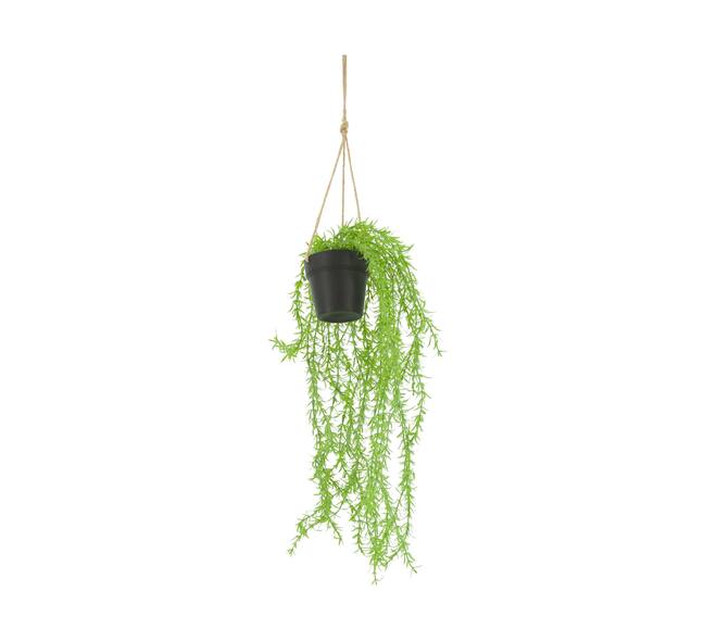 Plant willow PE with hanger 16x16x75cm - Green